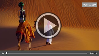 Camellos, los nuevos camarógrafos de Google