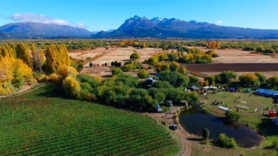 Buscan fortalecer la administración de bodegas de la Patagonia