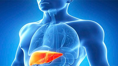 Hepatitis virales: Provocan casi un millón y medio de muertes al año