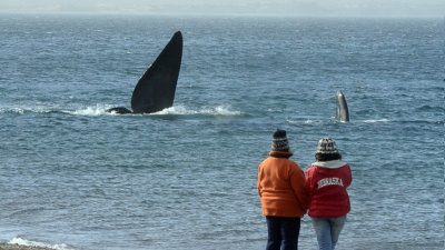 invierno, Madryn, reservas, sociedad, turismo