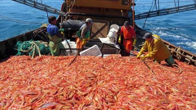 Porqué la pesca argentina está en alerta roja