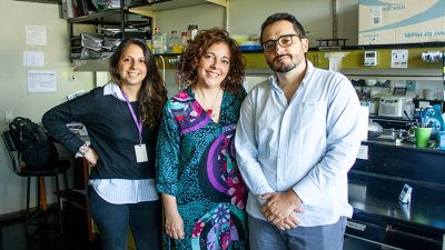Científicos argentinos investigan nuevas drogas contra los tumores de mama y ovario