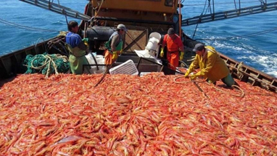 Las inversiones pesqueras gallegas en la Argentina