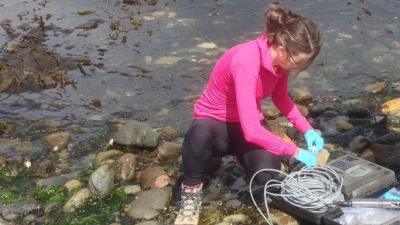 El cambio climático afecta la supervivencia de la merluza en el Canal de Beagle