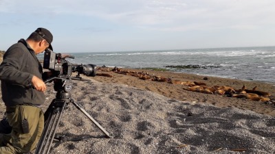 Productora alemana filma documental en Península Valdés