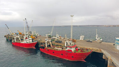 argentina, chubut, langostino, Pesca, torres