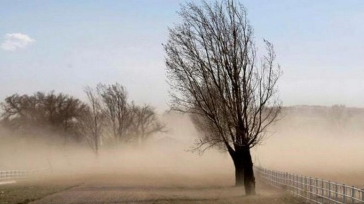 Alerta amarilla: Las ráfagas de viento alcanzarán los 90 km/h en Madryn