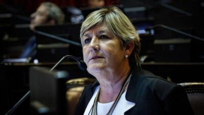 aborto, Aprobación, Congreso Nacional, IVE, Legalización, Nancy González, Senado