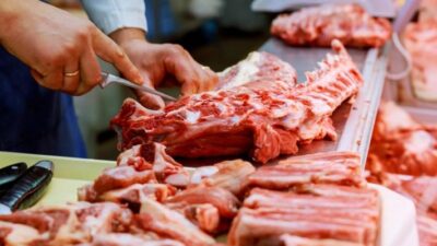2020, argentina, Bajo, Carne, consumo