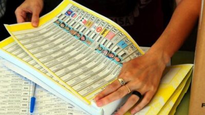 Alberto Fernández, argentina, Betina Grossman, boleta única, elecciones, PASO, voto