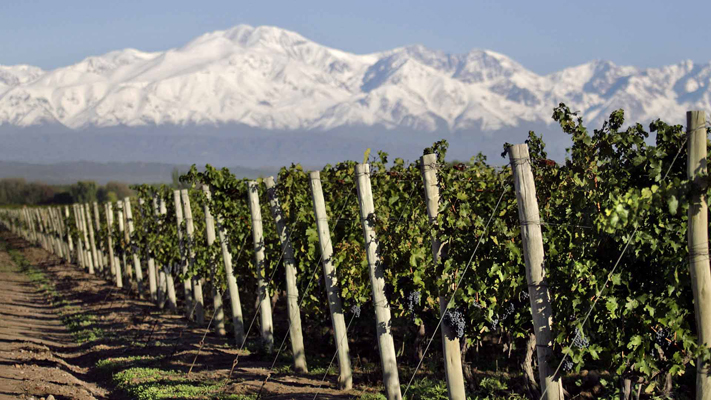 Impulsan junto a Chile la ruta del vino más larga del mundo
