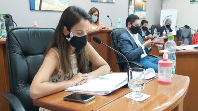 autos híbridos, concejo deliberante madryn, exención impositiva, gastronomía madryn, impuestos, impuestos madryn, Ley Yolanda, maría eugenia domíguez
