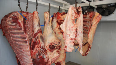 alcohol, allanamientos, carne sin sello, controles, Inspecciones Generales, pirotecnia, TRELEW