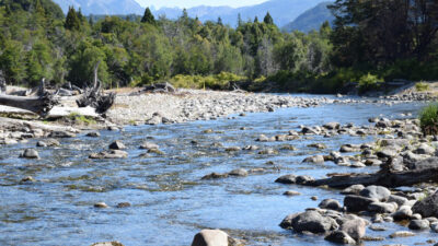 El Conicet presentó un libro sobre el monitoreo de los Ecosistemas Acuáticos