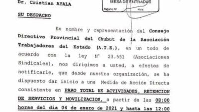 ATE, chubut, movilización, paro total, retención de servicios, Trabajadores del Estado