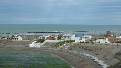 animales, animales muertos, chubut, Dirección de Fauna, envenenamiento, Fauna Silvestre, Magagna, Ministerio de Agricultura, Rawson