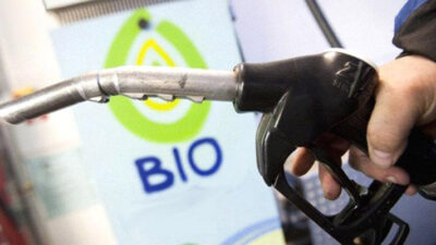 biocombustibles, Consenso Federal, Sergio Massa