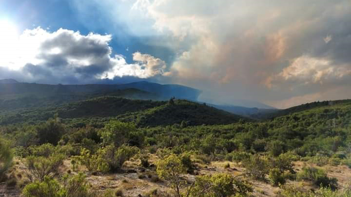 Incendio Loma del Medio: El fuego cruzó la frontera interprovincial