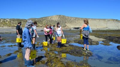 alga, alimento, ayuda alimentaria, comodoro conocimiento, Comodoro Rivadavia, UNPSJB