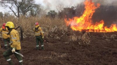 Arde la Patagonia por descuido en un asado