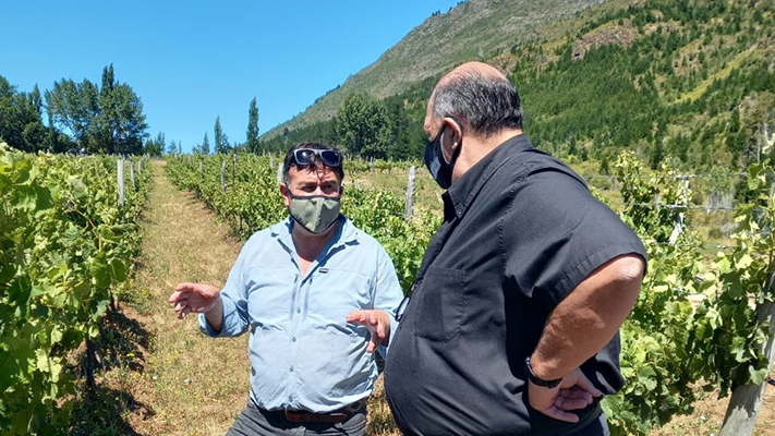 “El turismo del vino tiene un gran futuro en Chubut”, afirmó García