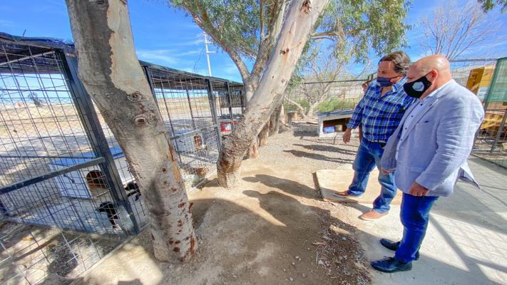 El Municipio de Madryn realiza quince castraciones diarias de mascotas