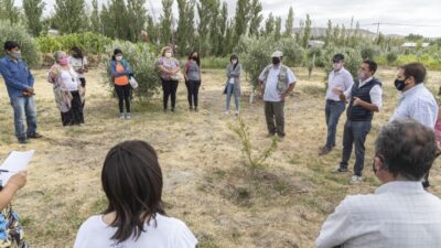 chacra, comodoro conocimiento, Comodoro Rivadavia, cultivo, nicolás caridi, producción, producción olivícola