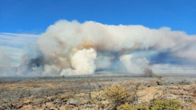 chubut, Corcovado, incendio, Manejo del Fuego, Secretaría de Bosques