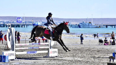 Antonio Torrejón, Equitación en la playa, FESTIVAL EQUITACIÓN