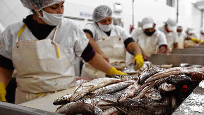 Pesqueras quieren tener garantizada merluza en temporada baja