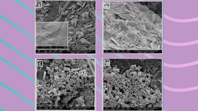 CIENCIA, CONICET, nanotecnologia, osteoartritis, osteoporosis