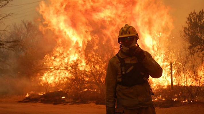 En 2020 se perdió un millón  de hectáreas por los incendios