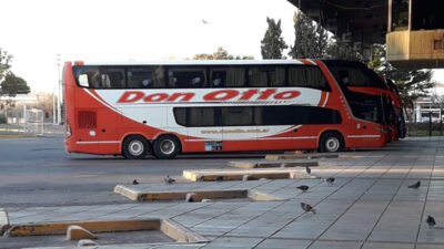 cargas, chubut, controles, José Grazzini, pasajeros, protocolo, transporte