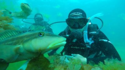 Llega la novena edición de «Madryn al Mar»