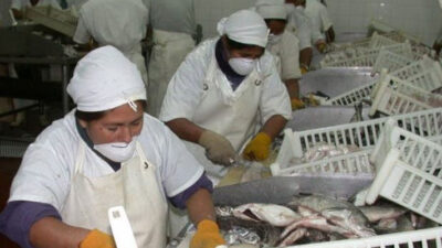 economia, Jubilación anticipada, Nancy González, Pesca, proyecto previsional