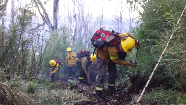 Se declaró un incendio en el Parque Nacional Los Alerces