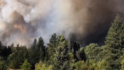 Otro incendio cerca de El Hoyo