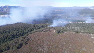 Incendio activo en «Cañadón de las Vacas»