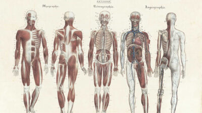 Nuestro cuerpo, un mundo por conocer, ¿o no?