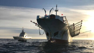 atlántico sur, China, Comodoro Rivadavia, depredación, especies, ilegal, Pesca, pesqueras, Puerto