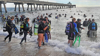buceo, contaminación, Ecología, limpieza marina