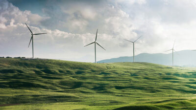¿Influye el envasado de vino en el cambio climático?