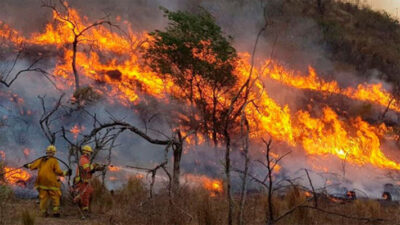 conectividad chubut, cordillera, enacom, incendios chubut