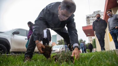 árboles, ASOCIACIONES VECINALES, barrio Rodríguez Peña, comodoro, Forestación Urbana, Juan Pablo Luque, Terminal de Ómnibus