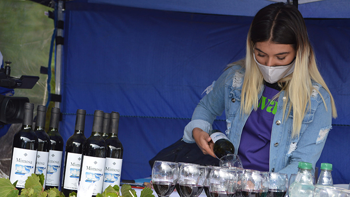 Celebraron primera vendimia en una cooperativa de Gaiman