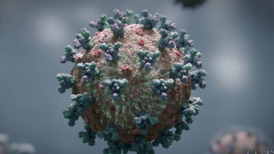 Cepas, CIENCIA, covid, manaos, Reino Unido, rio de janeiro, salud, Sudáfrica