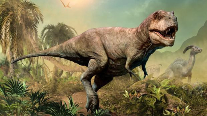 ¿Cuántos Tiranosaurios Rex hubo en el mundo?