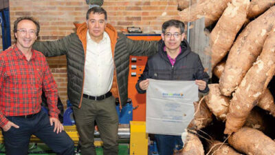 Crean bolsas que se disuelven en el agua y no contaminan