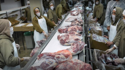 argentina, asado, carne vacuna, exportación carne, registor de carne