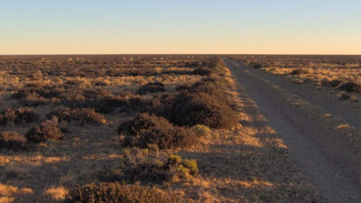 Chubut: Buscan avanzar en el proyecto de riego de la Meseta Intermedia
